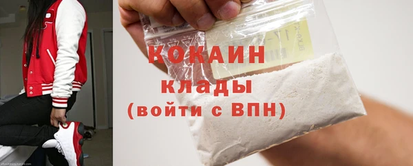 мдпв Осинники