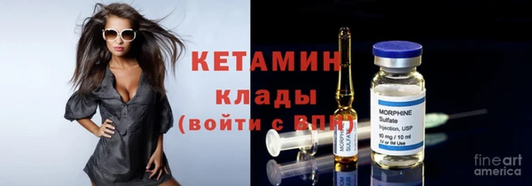 крисы Кулебаки