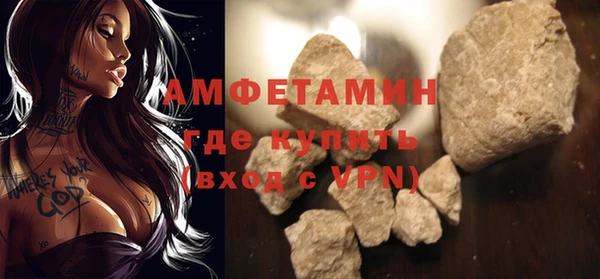крисы Кулебаки