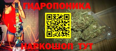 ГАЛЛЮЦИНОГЕННЫЕ ГРИБЫ Дубна