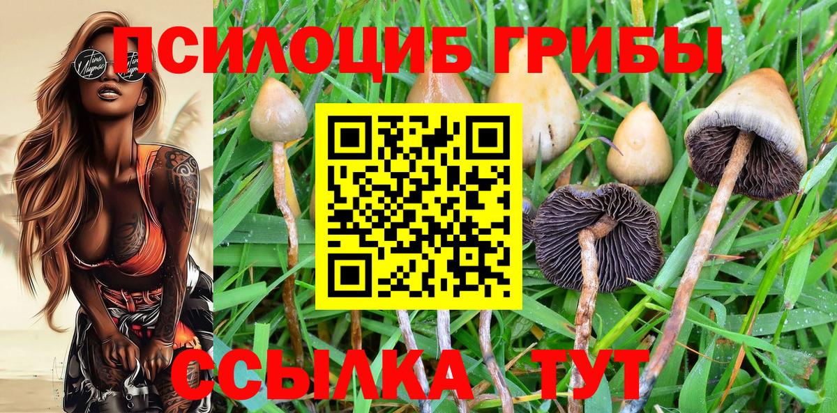 Мариинск  Псилоцибиновые грибы ЛСД  Псилоцибиновые грибы Psilocybe  Вход с VPN 