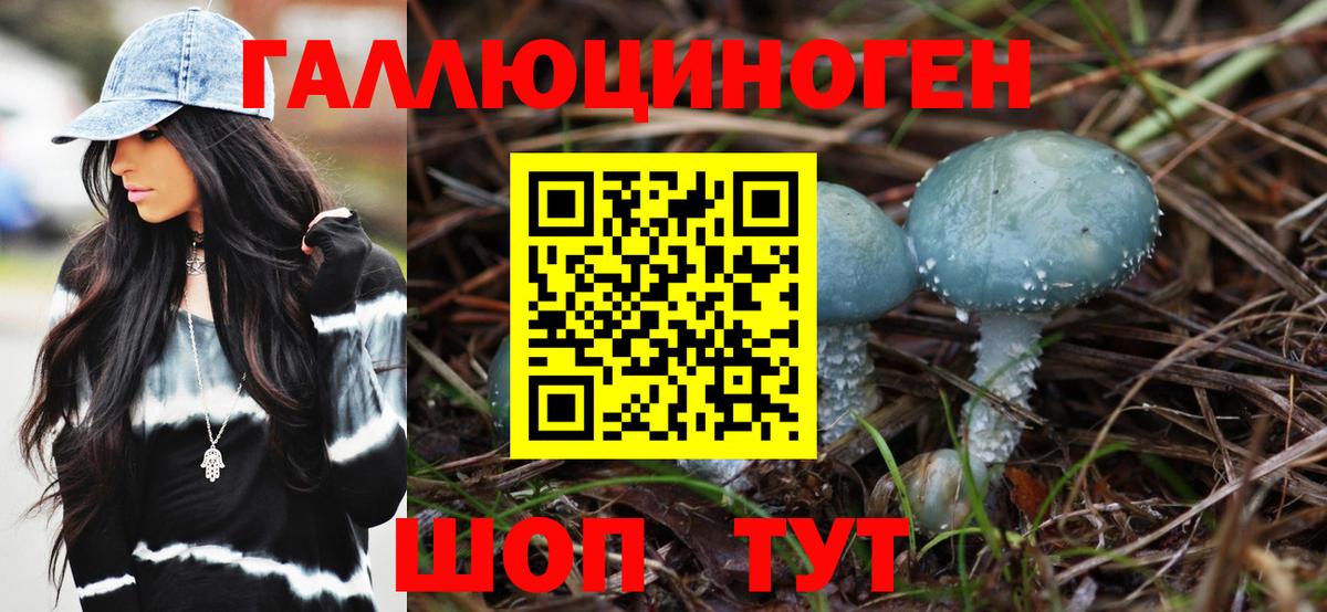 Псилоцибиновые грибы Psilocybe Мариинск